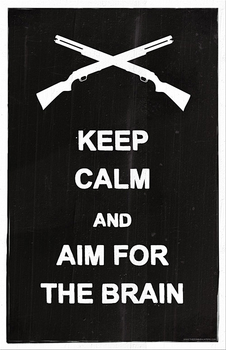 KEEP CALM AND AIM FOR THE BRAIN